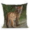 Cougar Cub Throw Pillow By David Stribbling