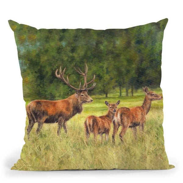 Deer Family Throw Pillow By David Stribbling