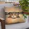 Eagle Owl Throw Pillow By David Stribbling