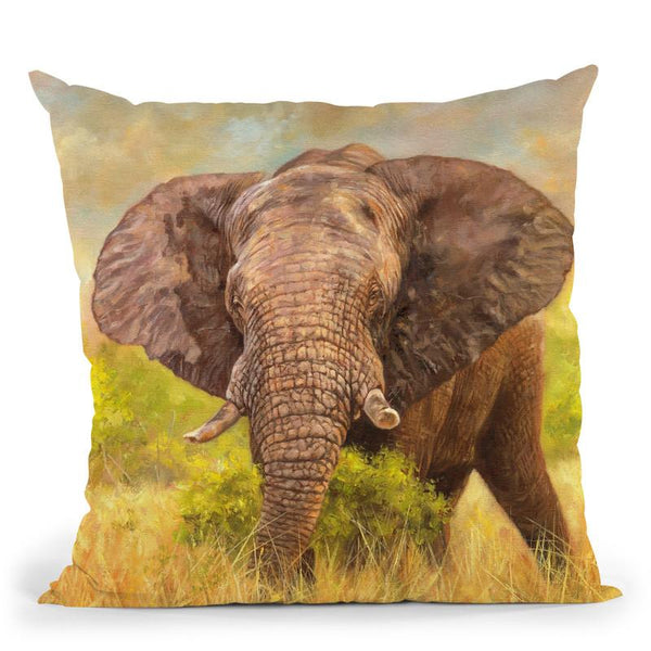 Elephant Throw Pillow By David Stribbling