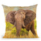 Elephant Throw Pillow By David Stribbling