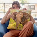 Elephant Throw Pillow By David Stribbling