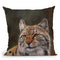 Eurasian Lynx Throw Pillow By David Stribbling