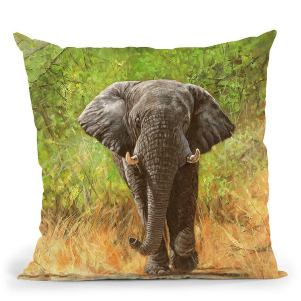 Elephant I Throw Pillow By David Stribbling