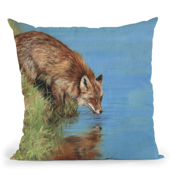 Fox Drinking Throw Pillow By David Stribbling