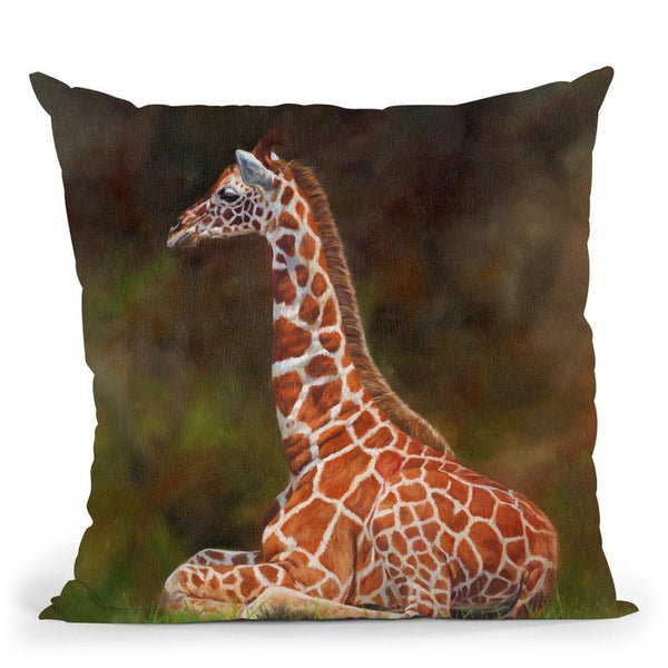Giraffe Resting Throw Pillow By David Stribbling