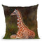 Giraffe Resting Throw Pillow By David Stribbling