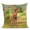 Giraffes Throw Pillow By David Stribbling