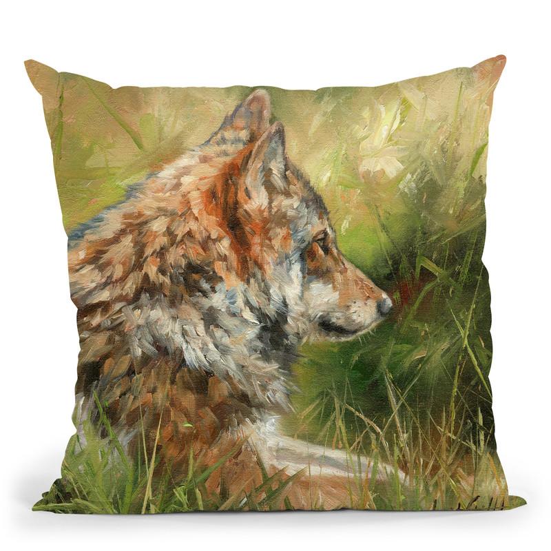 Grey Wolf Study Throw Pillow By David Stribbling