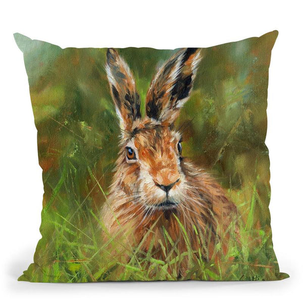 Hare I Throw Pillow By David Stribbling