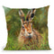 Hare I Throw Pillow By David Stribbling