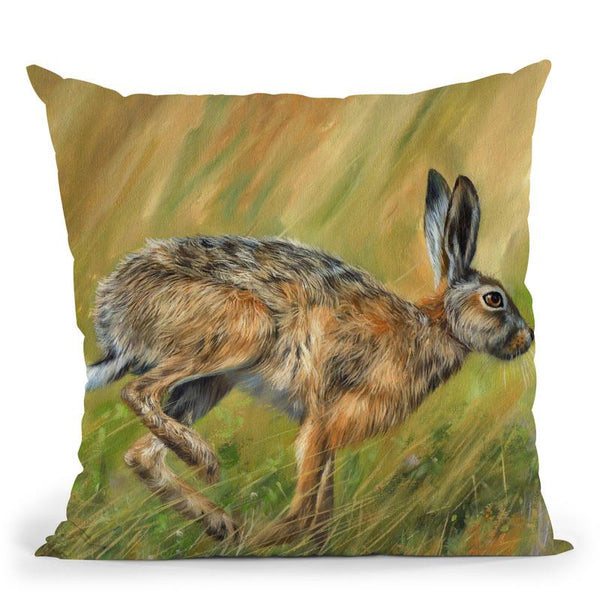 Hare Throw Pillow By David Stribbling