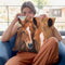 Horse And Foal Throw Pillow By David Stribbling