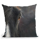 Horse Portrait Throw Pillow By David Stribbling
