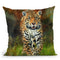Jaguar Walk Throw Pillow By David Stribbling