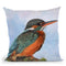 Kingfisher Throw Pillow By David Stribbling
