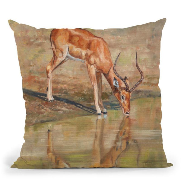 Kudu Reflections Throw Pillow By David Stribbling
