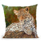 Leopard Cub Throw Pillow By David Stribbling