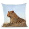 Leopard Laying Rock Grass Throw Pillow By David Stribbling