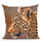 Leopard Looking Left Throw Pillow By David Stribbling