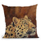 Leopard Portrait Looking Up Right Throw Pillow By David Stribbling