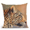 Leopard Profile I Throw Pillow By David Stribbling
