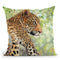 Leopard Tree Throw Pillow By David Stribbling