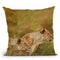 Lion Brothers Ii Throw Pillow By David Stribbling