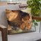 Lion Drinking Throw Pillow By David Stribbling