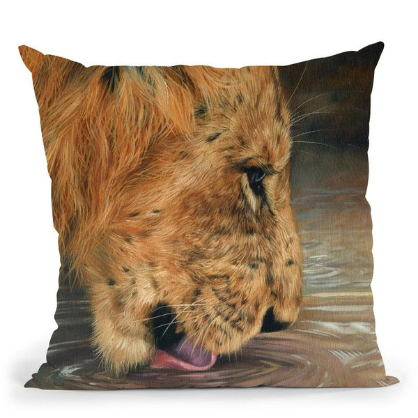 Lion Head Drinking Throw Pillow By David Stribbling