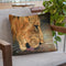 Lion Head Drinking Throw Pillow By David Stribbling