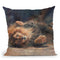Lion Vi Throw Pillow By David Stribbling