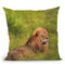 Lion In Grass Throw Pillow By David Stribbling