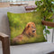 Lion In Grass Throw Pillow By David Stribbling