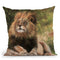 Lion Laying Down Throw Pillow By David Stribbling
