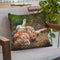 Lion On Back Throw Pillow By David Stribbling
