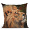 Lion Ii Throw Pillow By David Stribbling