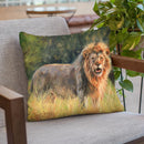 Lion Throw Pillow By David Stribbling