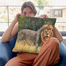 Lion Throw Pillow By David Stribbling