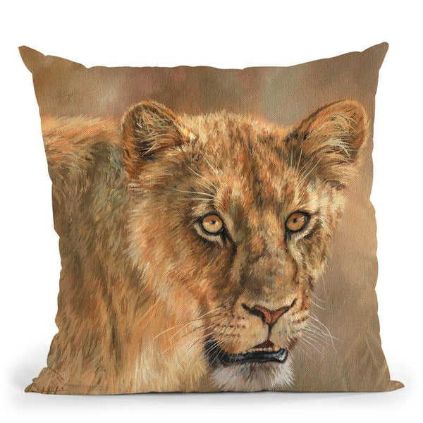 Lioness Ii Throw Pillow By David Stribbling