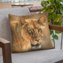 Lioness Ii Throw Pillow By David Stribbling