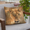 Lioness Ii Throw Pillow By David Stribbling