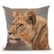 Lioness Portrait Throw Pillow By David Stribbling