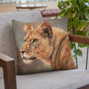 Lioness Portrait Throw Pillow By David Stribbling