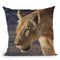 Lioness South Luangwa Throw Pillow By David Stribbling