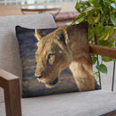 Lioness South Luangwa Throw Pillow By David Stribbling