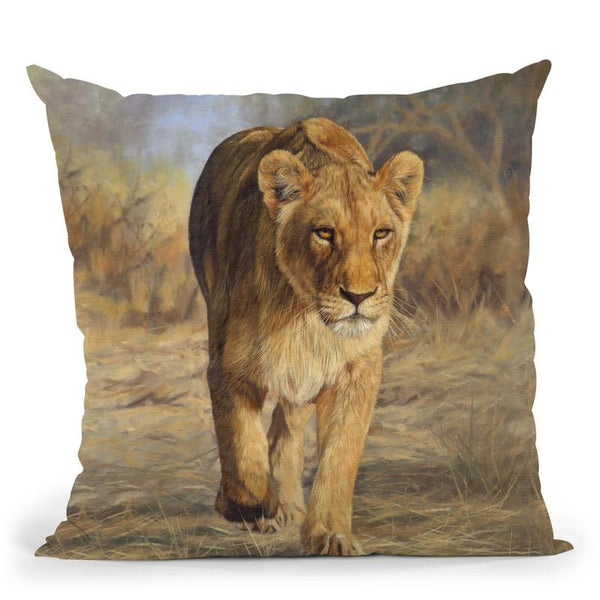 Lioness Walk Throw Pillow By David Stribbling