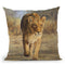 Lioness Walk Throw Pillow By David Stribbling