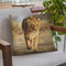 Lioness Walk Throw Pillow By David Stribbling