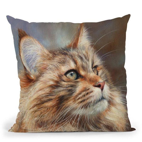 Maincoon Throw Pillow By David Stribbling
